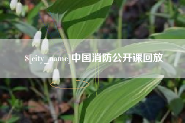 资阳中国消防公开课回放