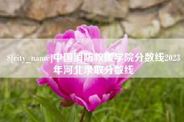 资阳中国消防救援学院分数线2023年河北录取分数线