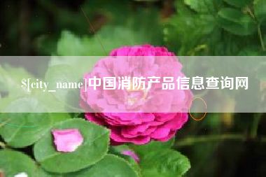 资阳中国消防产品信息查询网