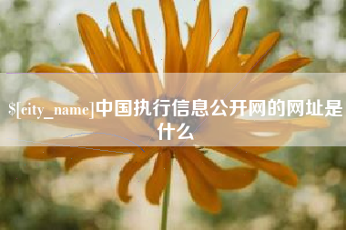 资阳中国执行信息公开网的网址是什么