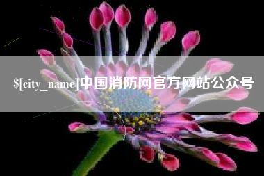 资阳中国消防网官方网站公众号