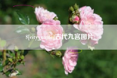 资阳古代九宫图片