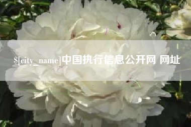 资阳中国执行信息公开网 网址