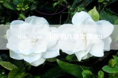 资阳中国的几块金牌2021