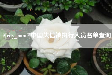 资阳中国失信被执行人员名单查询