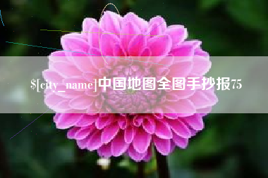 资阳中国地图全图手抄报75