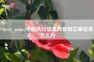 资阳中国执行信息网查到立案信息怎么办