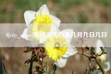 资阳我国消防日是几月几日几日