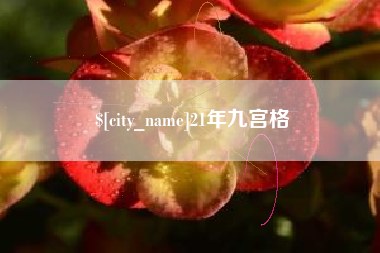 资阳21年九宫格