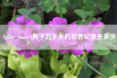 资阳男子五千米的世界纪录是多少