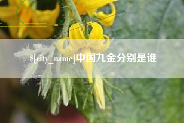 资阳中国九金分别是谁