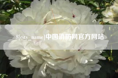 资阳中国消防网官方网站