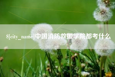 资阳中国消防救援学院都考什么