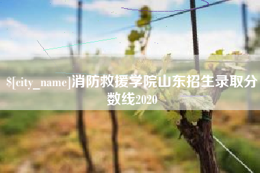 资阳消防救援学院山东招生录取分数线2020