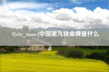 资阳中国第九块金牌是什么