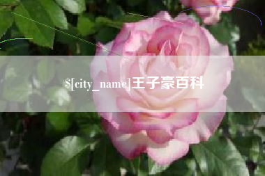 资阳王子豪百科