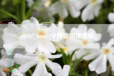 资阳中国地图像素版