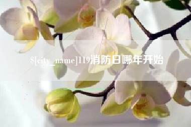 资阳119消防日哪年开始