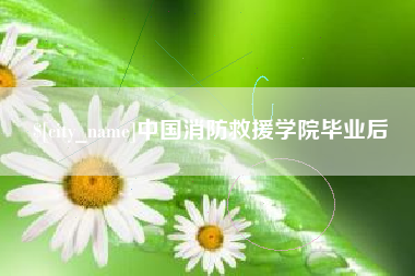 资阳中国消防救援学院毕业后