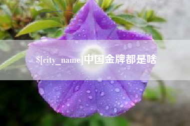 资阳中国金牌都是啥