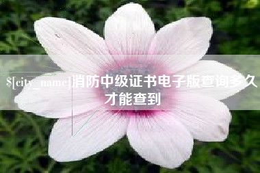 资阳消防中级证书电子版查询多久才能查到