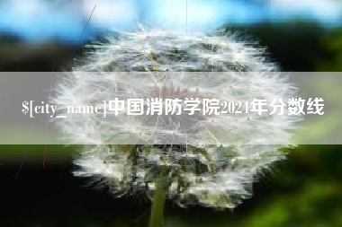 资阳中国消防学院2024年分数线
