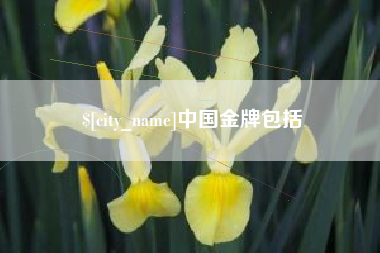 资阳中国金牌包括
