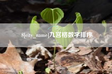 资阳九宫格数字排序
