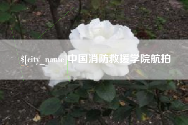 资阳中国消防救援学院航拍