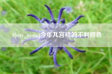 资阳今年九宫格的不利颜色