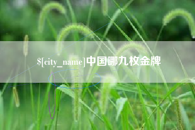 资阳中国哪九枚金牌