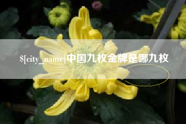 资阳中国九枚金牌是哪九枚