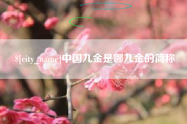 资阳中国九金是哪九金的简称