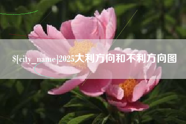 资阳2025大利方向和不利方向图