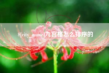 资阳九宫格怎么排序的