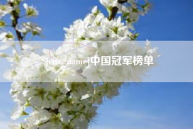 资阳中国冠军榜单