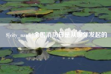 资阳全国消防日是从哪年发起的