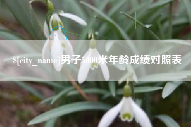 资阳男子5000米年龄成绩对照表
