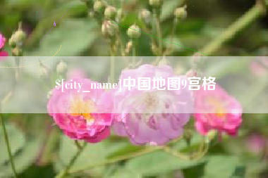 资阳中国地图9宫格