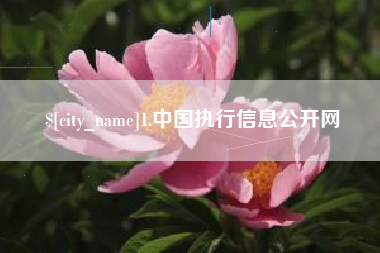 资阳1.中国执行信息公开网