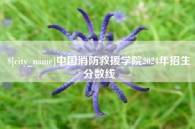 资阳中国消防救援学院2024年招生分数线