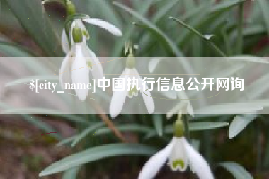 资阳中国执行信息公开网询