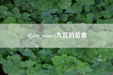 资阳九宫的位置