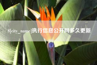 资阳执行信息公开网多久更新