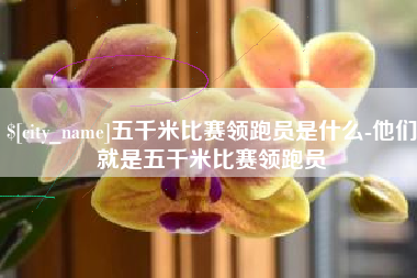 资阳五千米比赛领跑员是什么-他们就是五千米比赛领跑员
