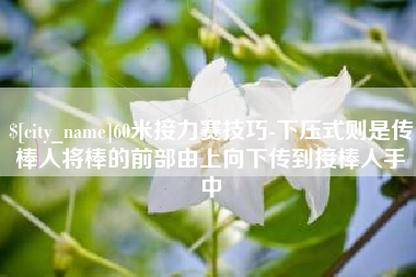资阳60米接力赛技巧-下压式则是传棒人将棒的前部由上向下传到接棒人手中