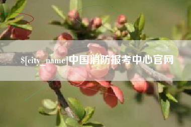 资阳中国消防报考中心官网