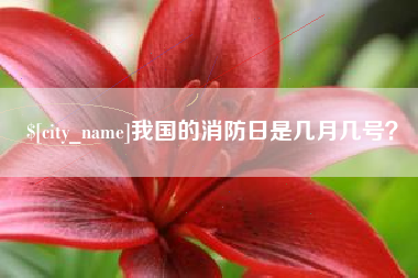 资阳我国的消防日是几月几号？