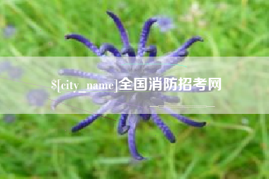 资阳全国消防招考网
