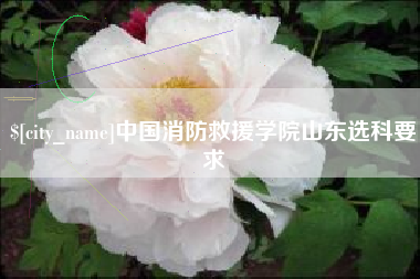 资阳中国消防救援学院山东选科要求